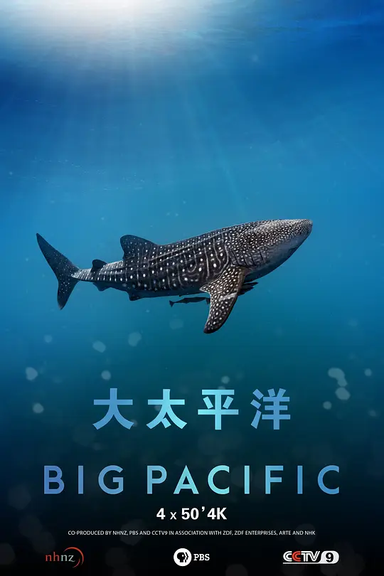 帖子封面