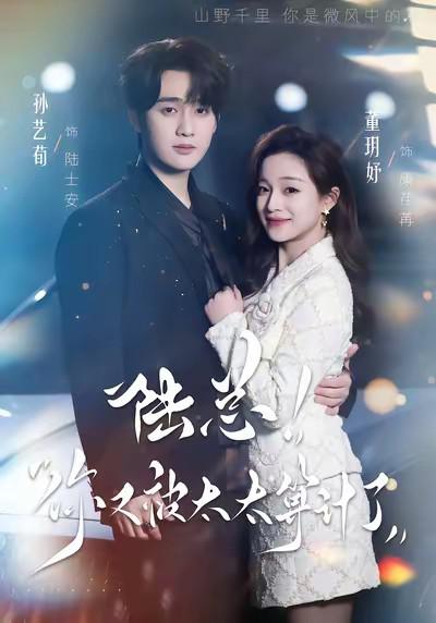 陆总，你又被太太算计了 (2026)