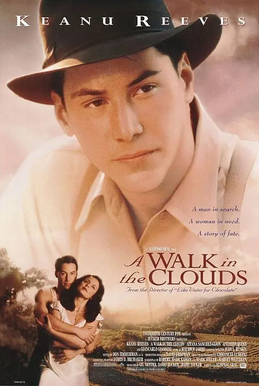 云中漫步 (1995) (A Walk in the Clouds)-光鸭·臻影社