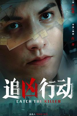 追凶行动封面图