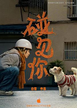 碰见你封面图
