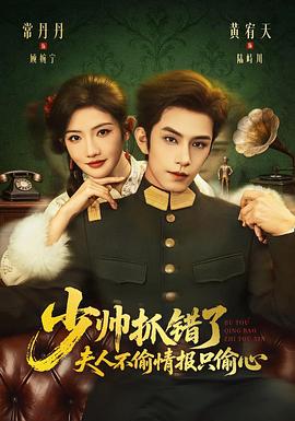 少帅抓错了，夫人不偷情报只偷心 (2026)